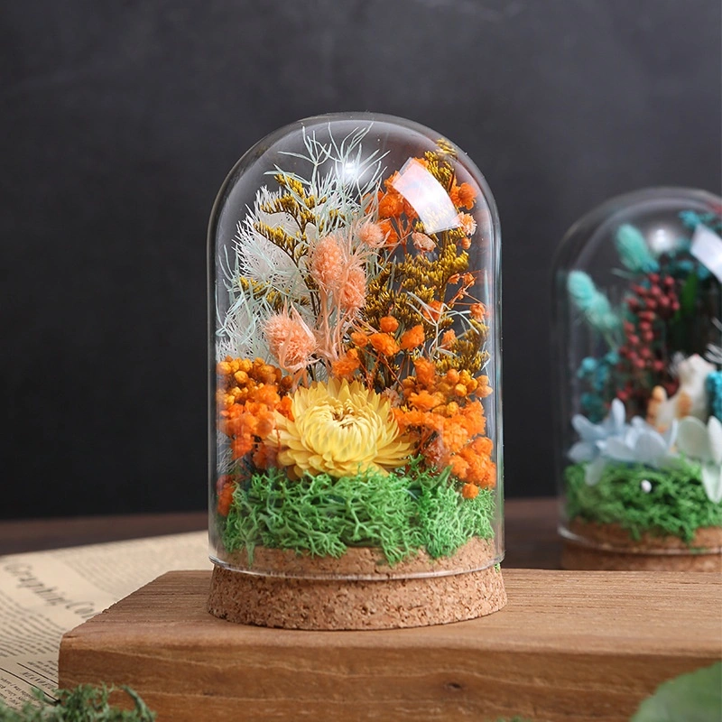 DIY Craft Kit Handmade Ornament Dried Flowers Glass Dome