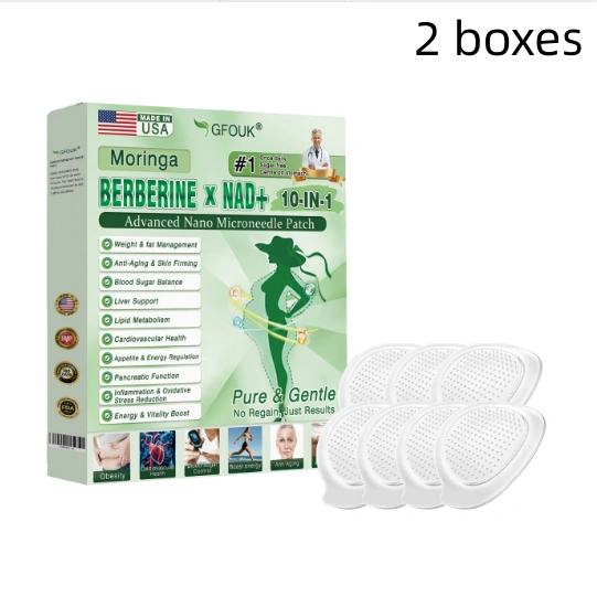 NanoMicroneedlePatch