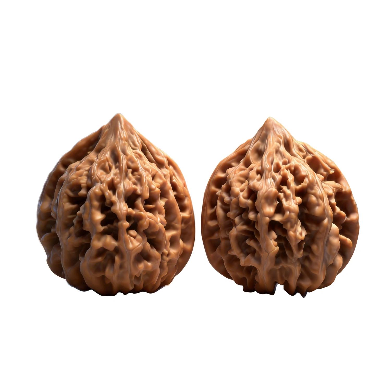 Wenwan Walnuts