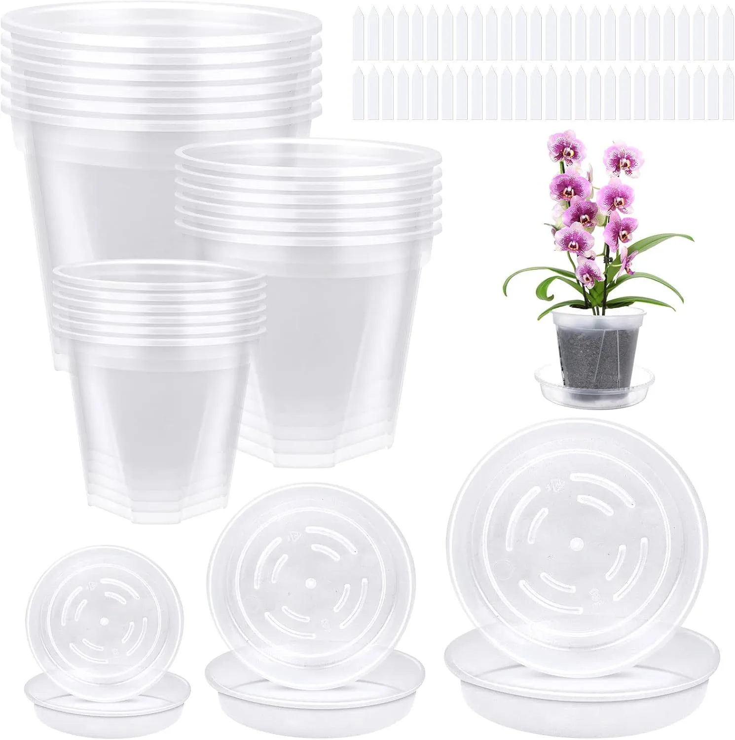 Cross-border Multi-size Transparent Nursery Pots