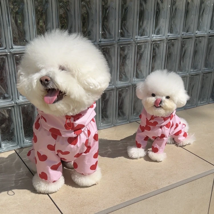 Waterproof Full-Covering Rain Poncho With Hood For Small And Medium-Sized Dogs