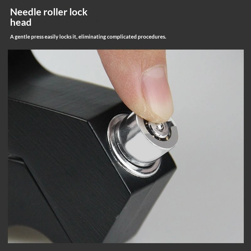 Electric Vehicle Aluminum Alloy Brake Lock