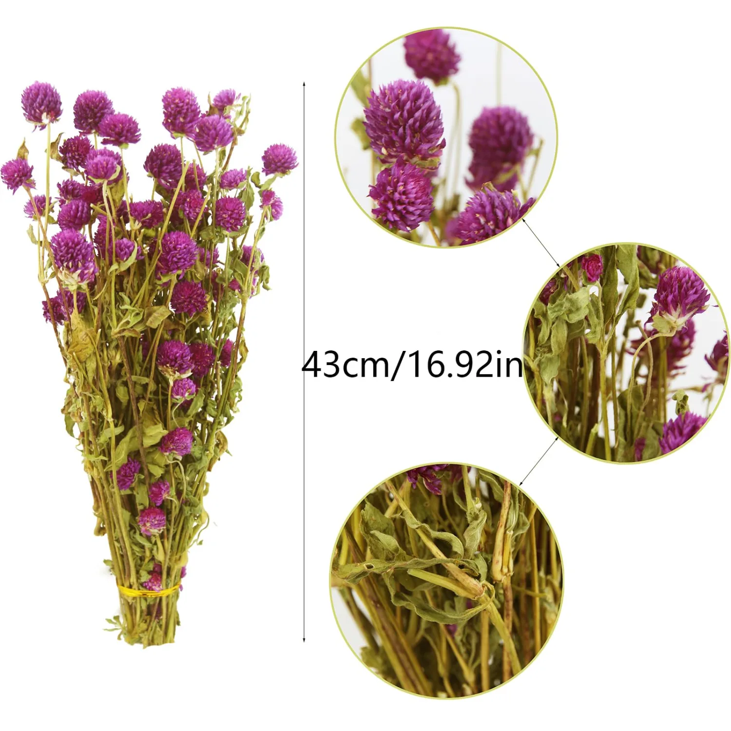 CISDUEO Dried Flower Purple Globe Amaranth Bouquet for Wedding Table Vase Decor Boho DIY Wreath Floral Home Office Party Garden Decoration