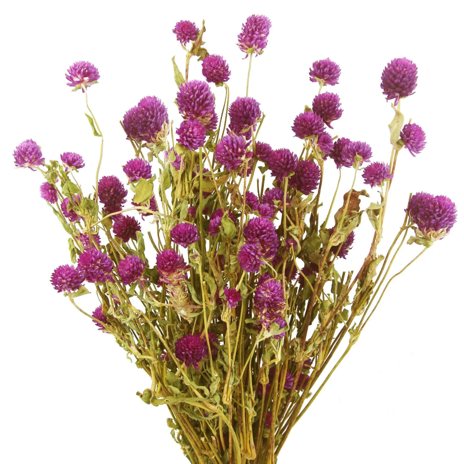 CISDUEO Dried Flower Purple Globe Amaranth Bouquet for Wedding Table Vase Decor Boho DIY Wreath Floral Home Office Party Garden Decoration