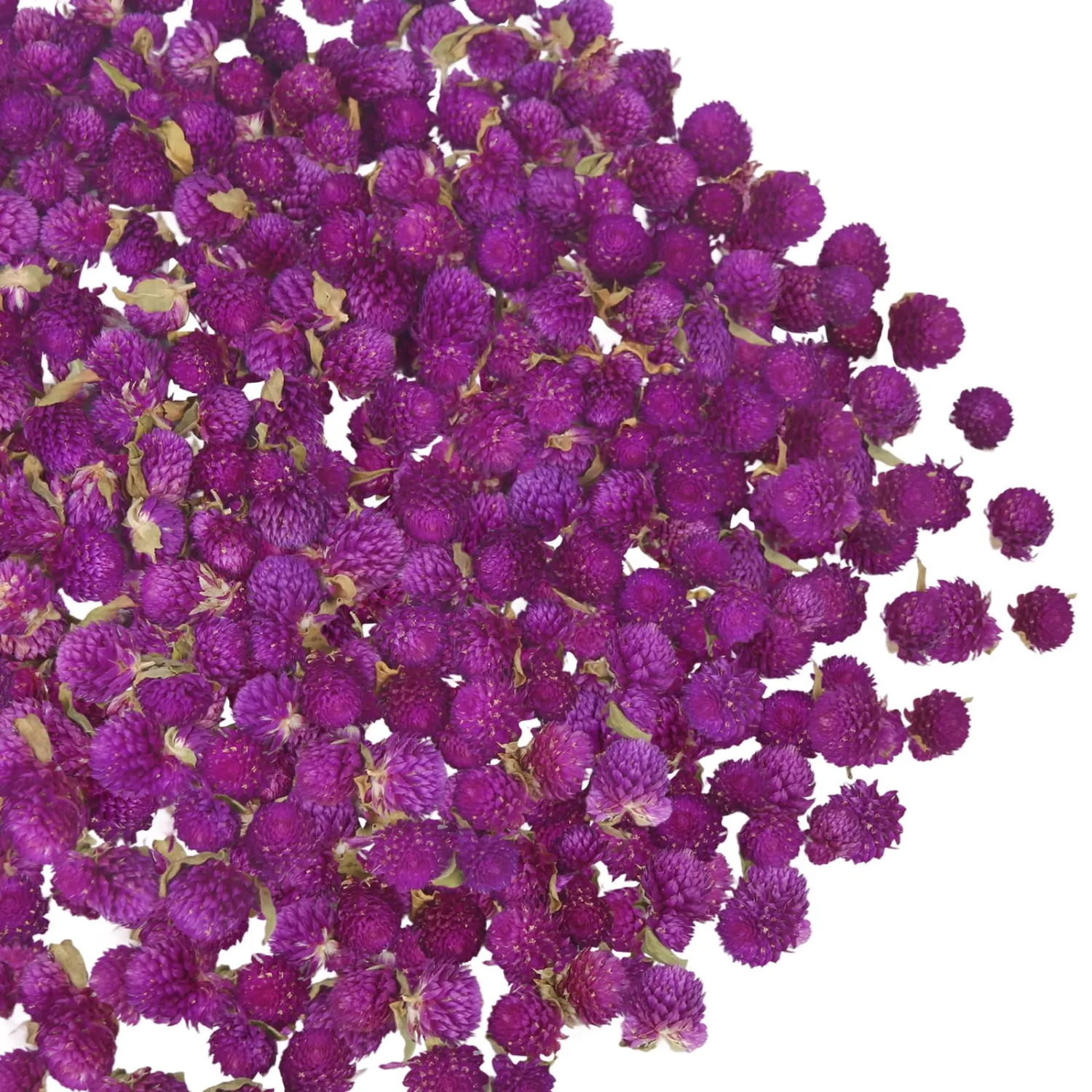 220 Pcs Dried Flowers Heads for Crafts Purple Globe Amaranth Natural Dried Gomphrena Globosa Flower Bulk Dry Flower Arrangements for Wedding Decor Home Party Headband DIY