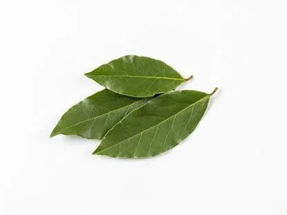 Bay Laurel Leaves