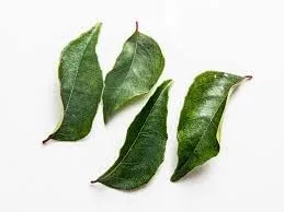 Green Acre Herbs & Teas Curry Leaves