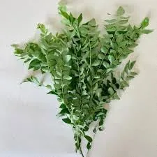 Green Acre Herbs & Teas Curry Leaves