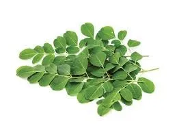 Green Acre Herbs & Teas Moringa Tea, Herbal, 1 Ounce, 14 Cubic Inches