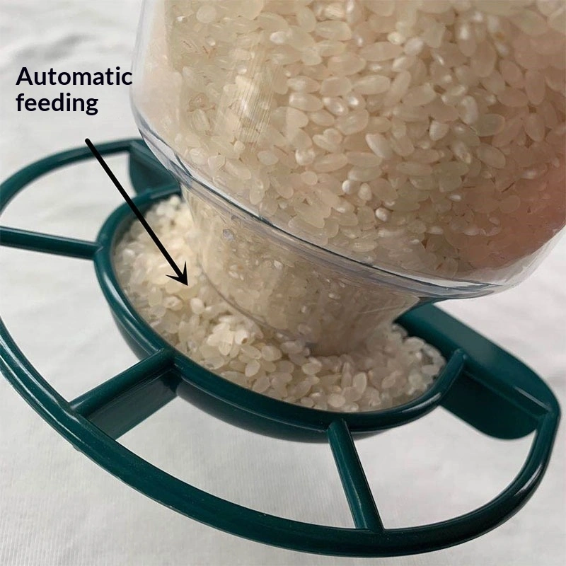 Creative Transparent Plastic Suspended Automatic Bird Feeder With Lid