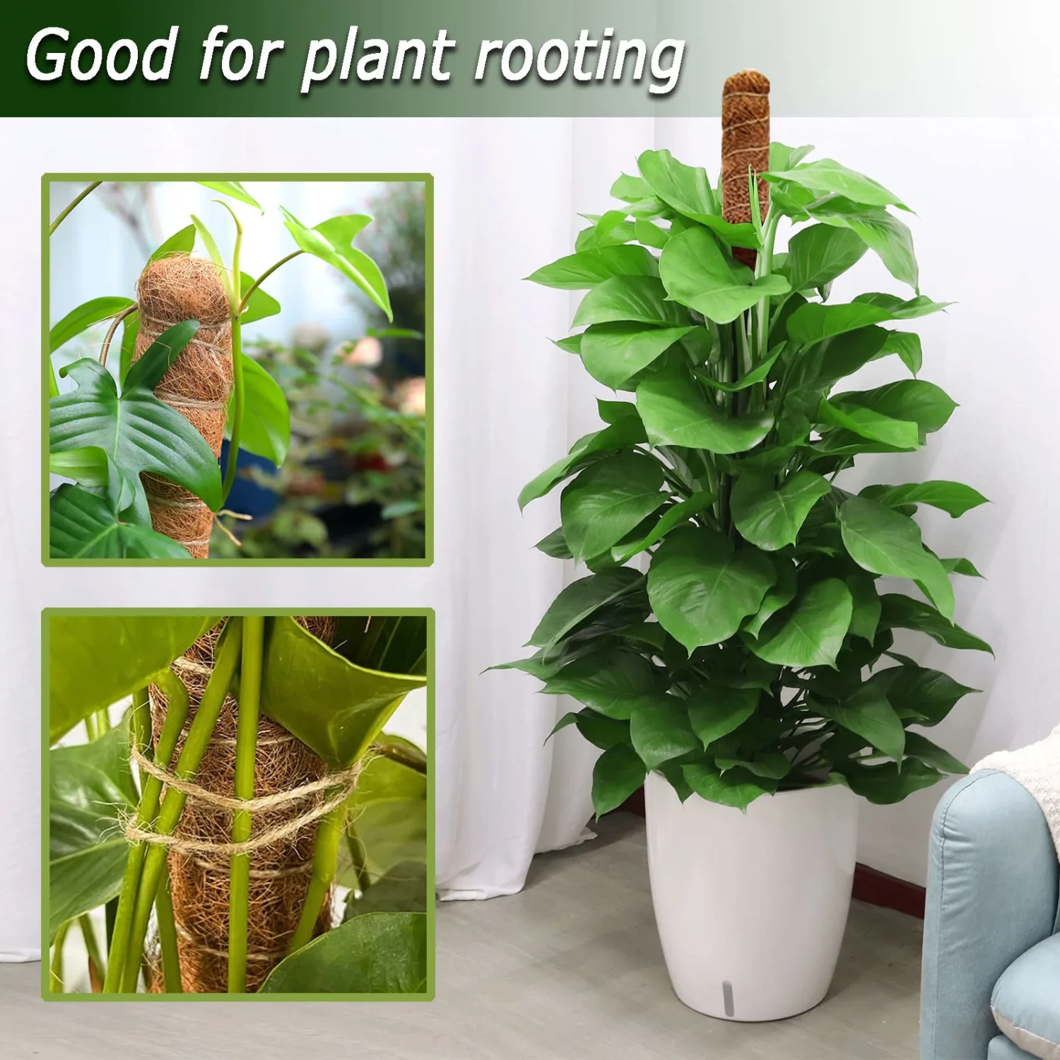 Bendable Moss Pole, 47 Inch Moss Poles for Plants Monstera, Tall Moss Poles for Climbing Plants Indoor, Large Moss Pole Support, Garden Trellis Plant Stand Stakes for Potted Plants, Pothos