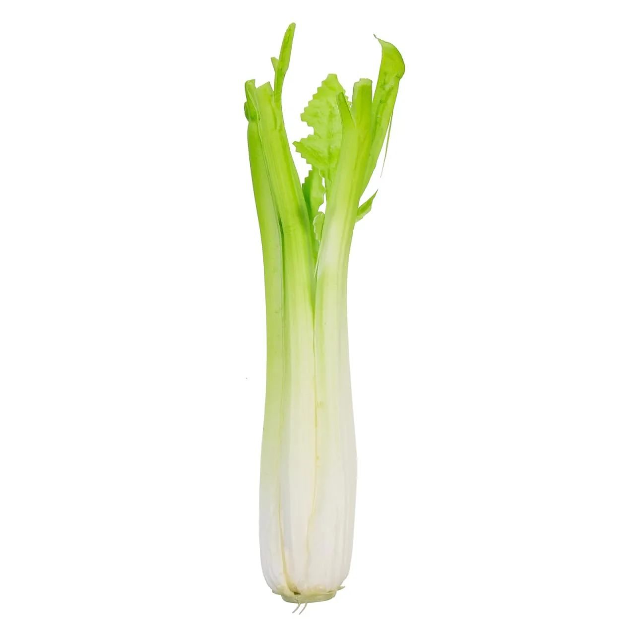 BESTOYARD Lifelike Fake Celery Model - PU Artificial Vegetable for Home Decor Photography Props and Display - Realistic Simulation Celery Ornament for Restaurants and Kids Play Food