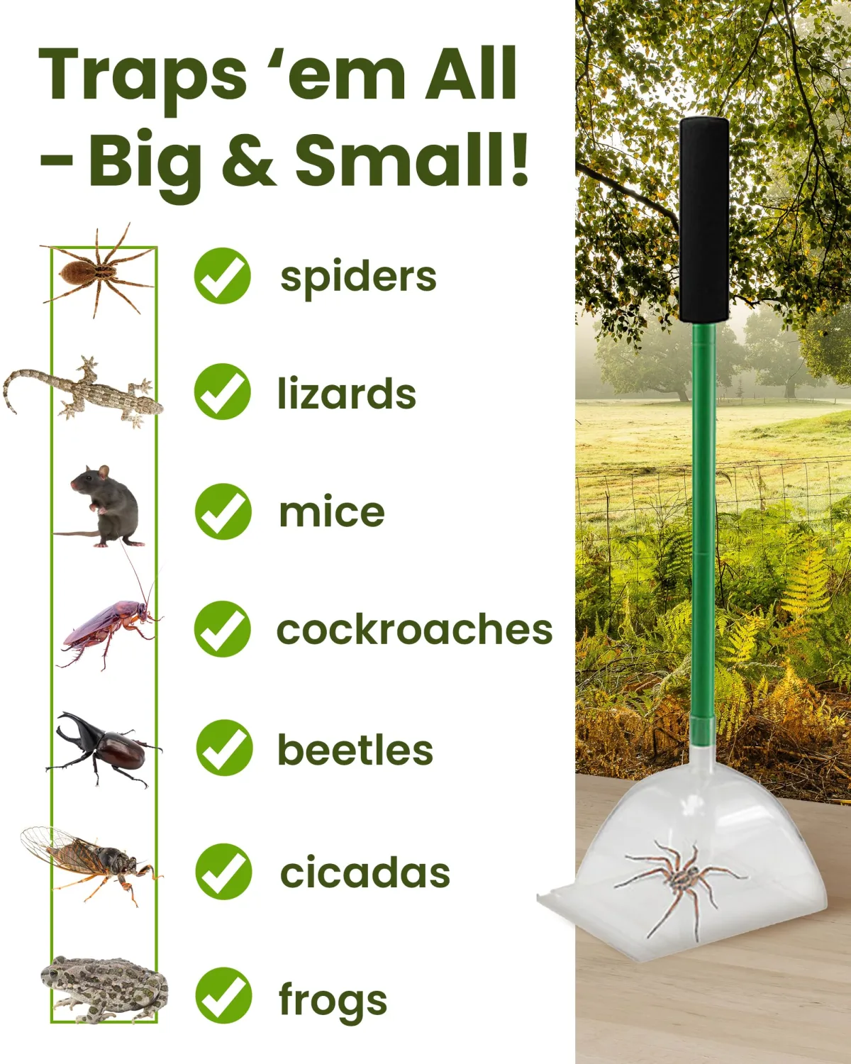 Katcha Acrylic Humane Bug Catcher - 25" Long Spider Catcher and Release Tool with Large Plastic Container, Versatile Insect and Bug Grabber Tool for Lizards, Roach, Cicadas, Spiders, and Frogs
