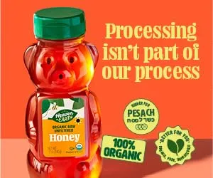 Heaven & Earth Organic Raw Unfiltered Honey, 12 oz (2 Pack) | USDA Certified | Bear Shaped Squeeze Bottle | Pure & Natural Honey | Perfect for Tea, Baking, and Cooking