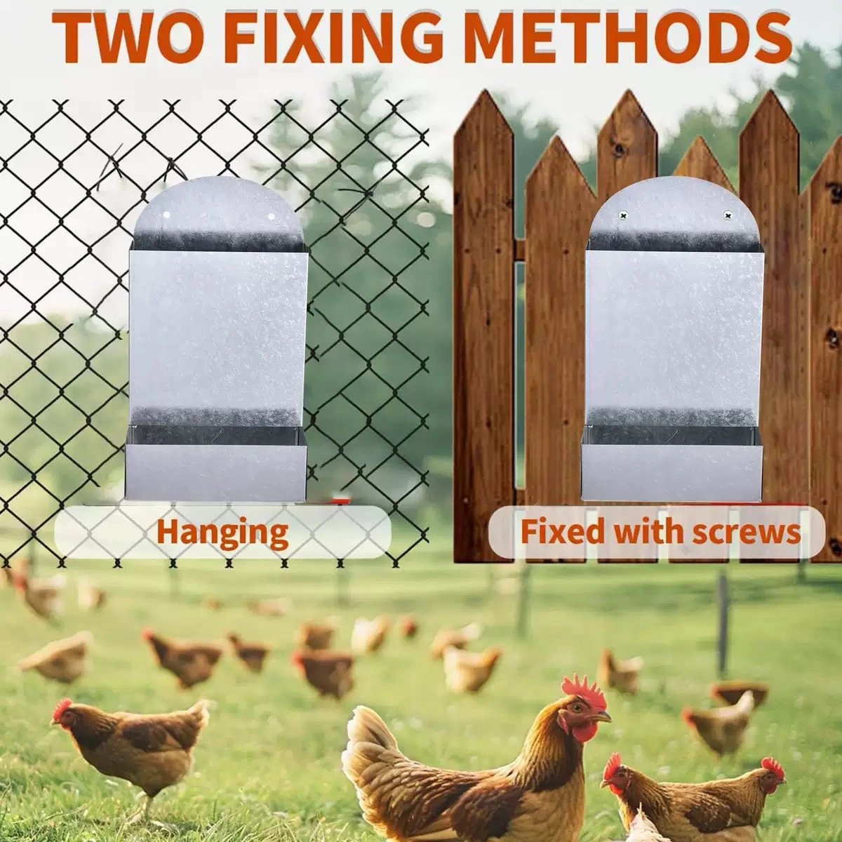 Poultry Feeding Metal Trough Chicken Parrot Bird Small Animal Feeder