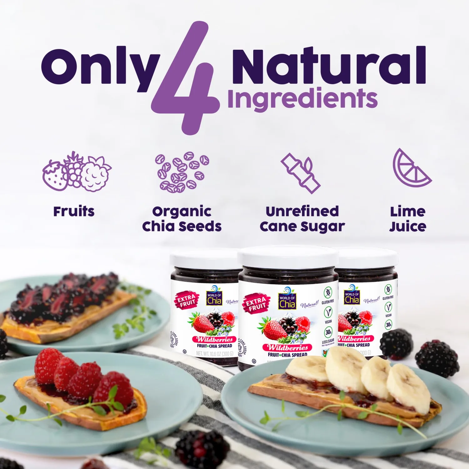 World of Chia Jam Wildberry Pack - Extra Fruit Spread, Bold Flavor & Wildberry Jelly Jam, Sweetened Pure Cane Sugar & Real Fruits, Omega-3s Superfood, Preserves and Jams (1 Jar, 10.6 oz, 300 g) 1 Pack