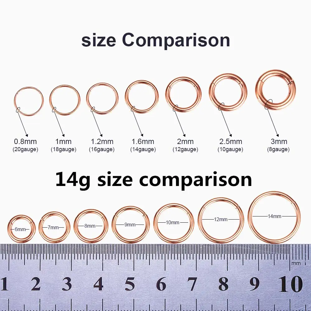 ORANGELOVE Hypoallergenic Nose Rings 20G 18G 16G 14G 12G 10G 8G 316l Surgical Steel Septum Jewelry Hinged Segment Ring Body Piercing Nose Hoop Lip Rings Nose Helix Cartilage Rook Earrings