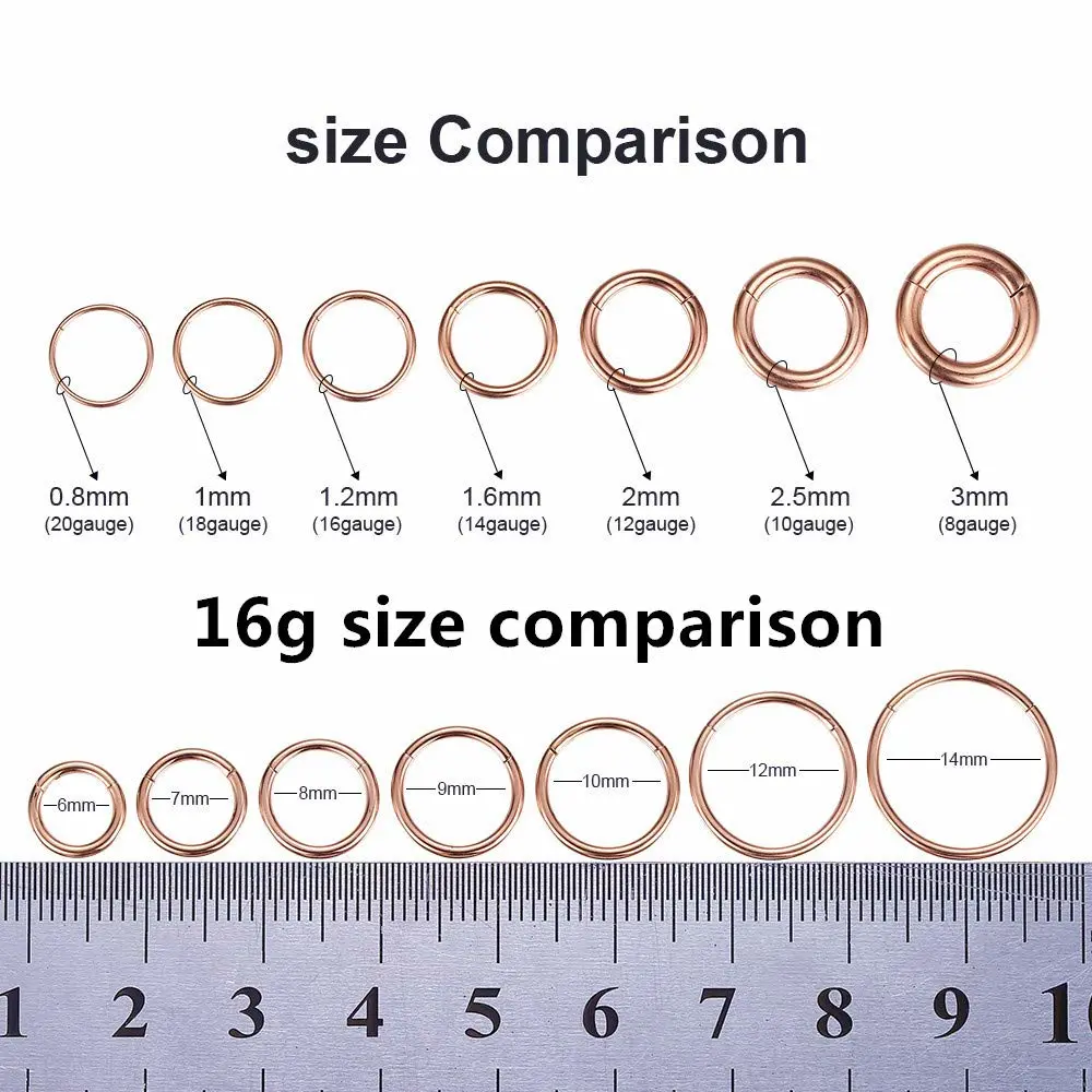 ORANGELOVE Hypoallergenic Nose Rings 20G 18G 16G 14G 12G 10G 8G 316l Surgical Steel Septum Jewelry Hinged Segment Ring Body Piercing Nose Hoop Lip Rings Nose Helix Cartilage Rook Earrings
