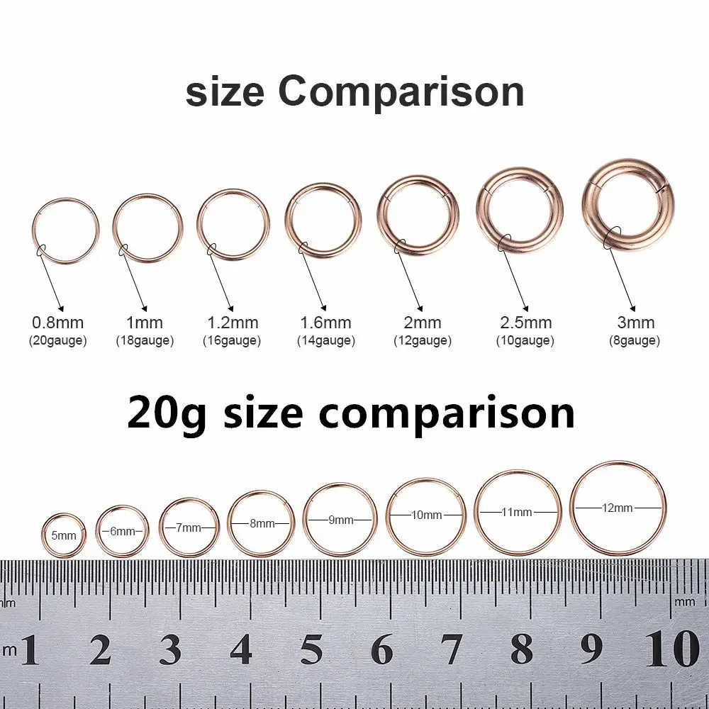 ORANGELOVE Hypoallergenic Nose Rings 20G 18G 16G 14G 12G 10G 8G 316l Surgical Steel Septum Jewelry Hinged Segment Ring Body Piercing Nose Hoop Lip Rings Nose Helix Cartilage Rook Earrings
