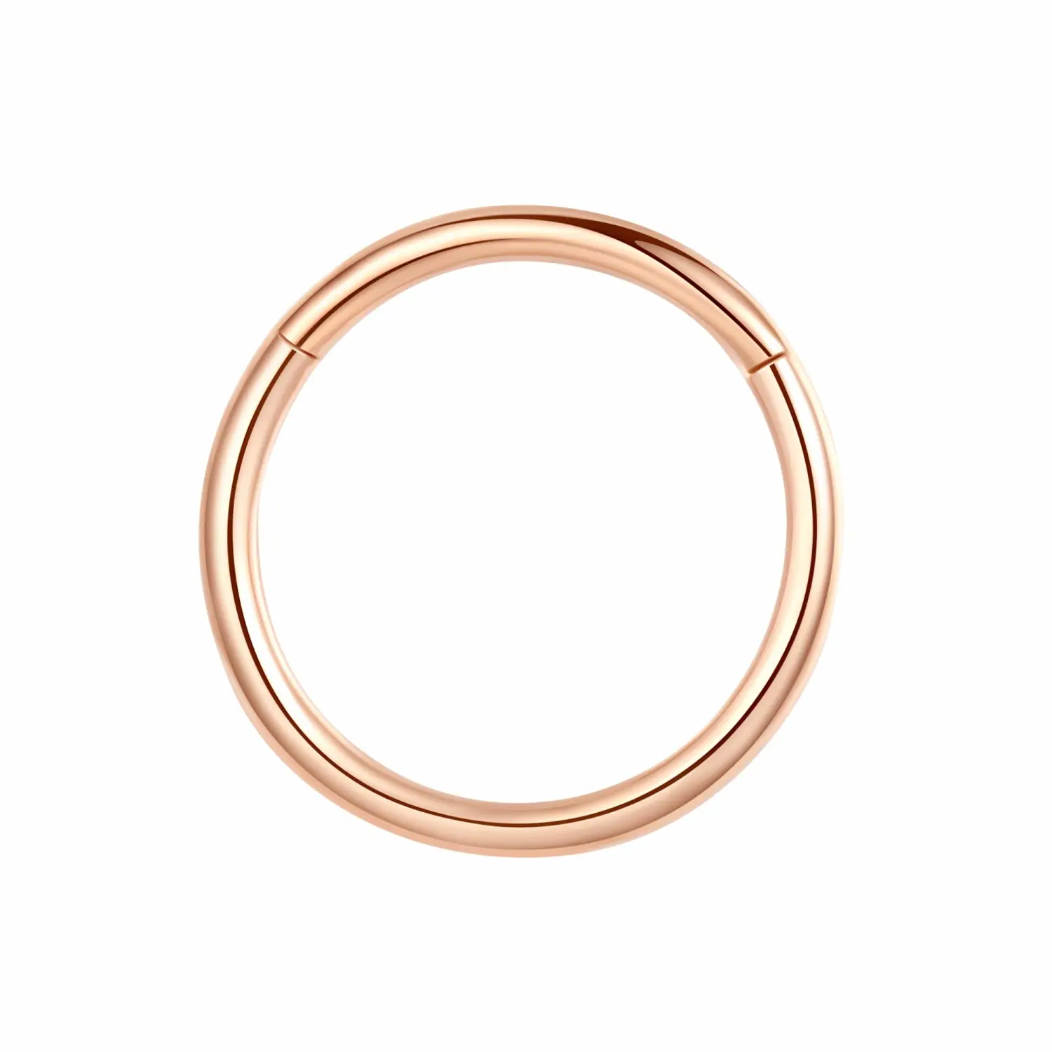 ORANGELOVE Hypoallergenic Nose Rings 20G 18G 16G 14G 12G 10G 8G 316l Surgical Steel Septum Jewelry Hinged Segment Ring Body Piercing Nose Hoop Lip Rings Nose Helix Cartilage Rook Earrings