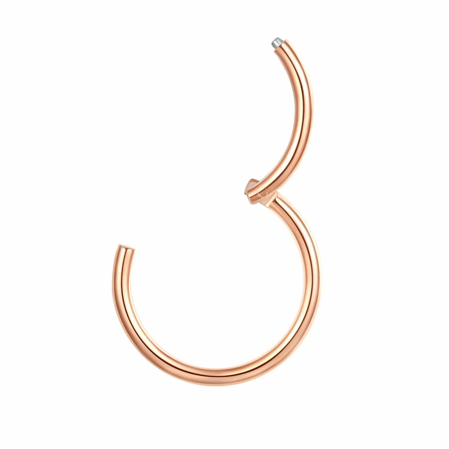 ORANGELOVE Hypoallergenic Nose Rings 20G 18G 16G 14G 12G 10G 8G 316l Surgical Steel Septum Jewelry Hinged Segment Ring Body Piercing Nose Hoop Lip Rings Nose Helix Cartilage Rook Earrings
