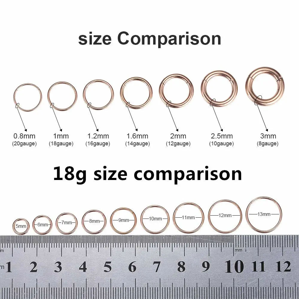 ORANGELOVE Hypoallergenic Nose Rings 20G 18G 16G 14G 12G 10G 8G 316l Surgical Steel Septum Jewelry Hinged Segment Ring Body Piercing Nose Hoop Lip Rings Nose Helix Cartilage Rook Earrings