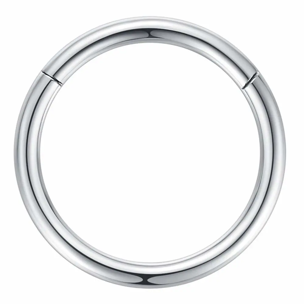 ORANGELOVE Hypoallergenic Nose Rings 20G 18G 16G 14G 12G 10G 8G 316l Surgical Steel Septum Jewelry Hinged Segment Ring Body Piercing Nose Hoop Lip Rings Nose Helix Cartilage Rook Earrings
