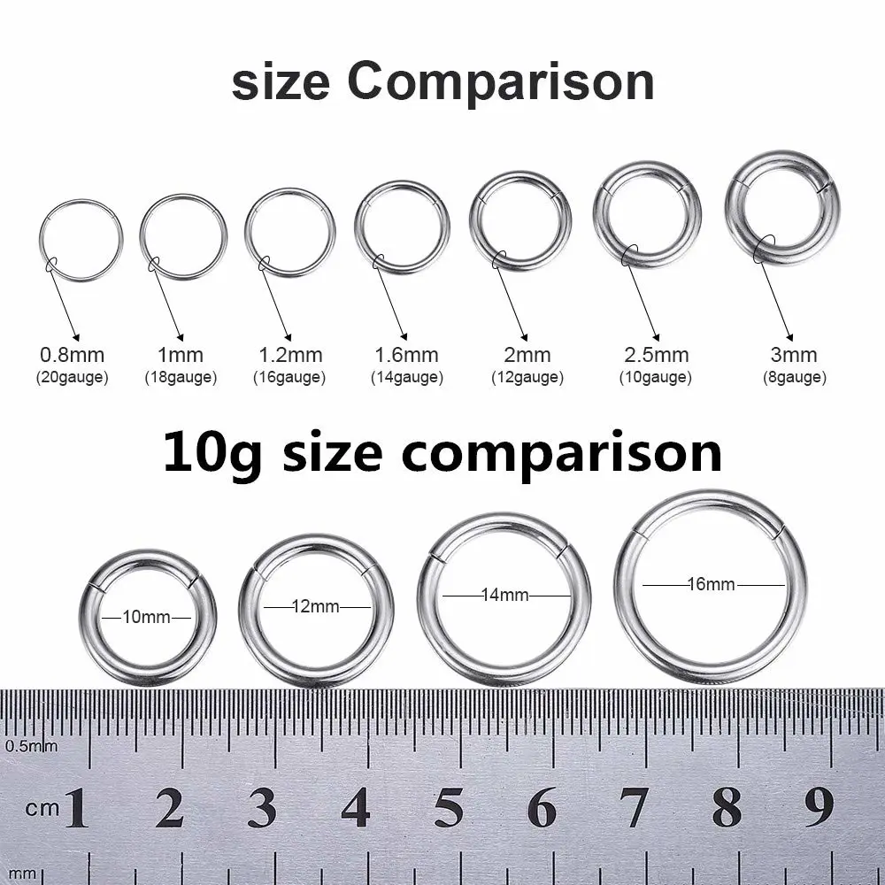 ORANGELOVE Hypoallergenic Nose Rings 20G 18G 16G 14G 12G 10G 8G 316l Surgical Steel Septum Jewelry Hinged Segment Ring Body Piercing Nose Hoop Lip Rings Nose Helix Cartilage Rook Earrings