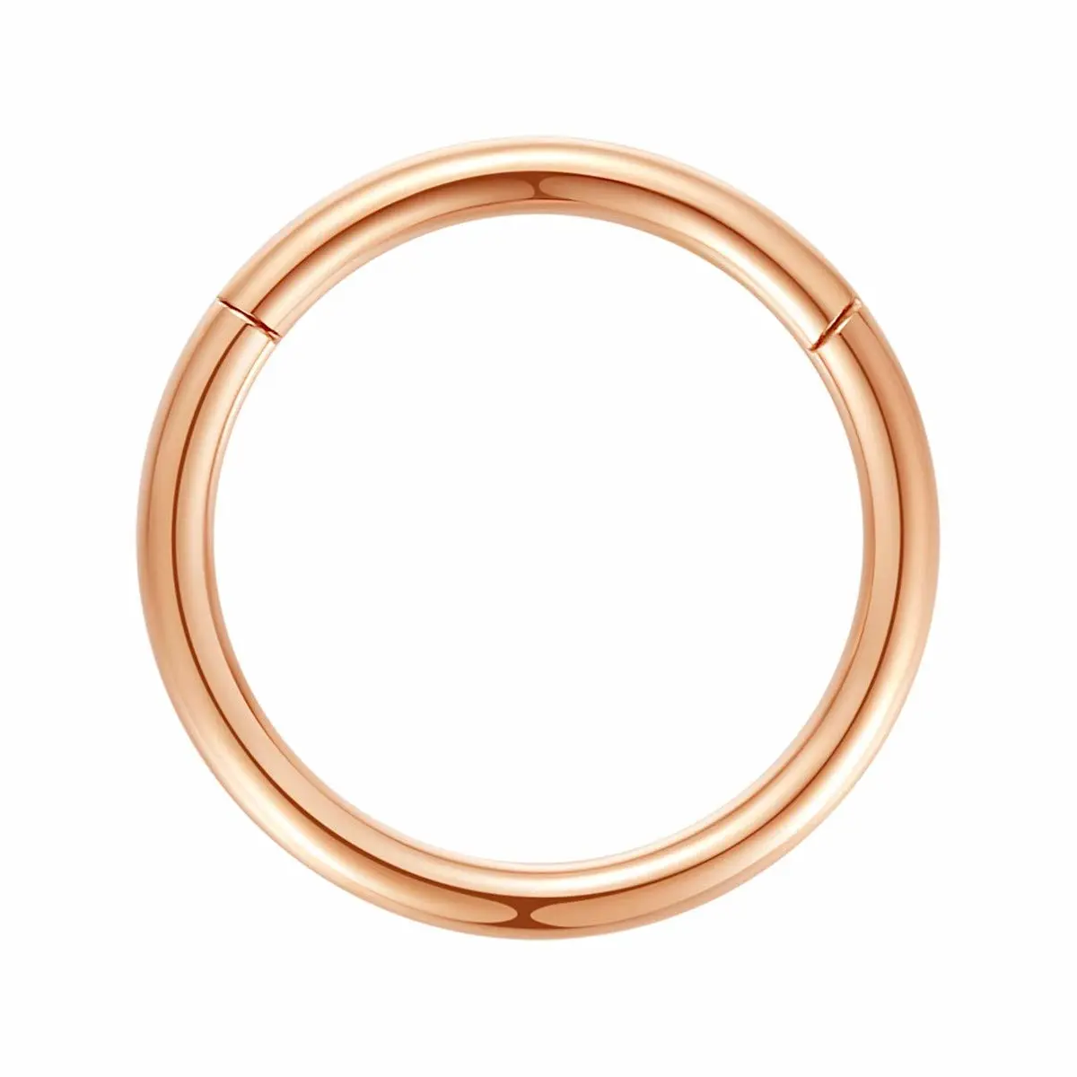 ORANGELOVE Hypoallergenic Nose Rings 20G 18G 16G 14G 12G 10G 8G 316l Surgical Steel Septum Jewelry Hinged Segment Ring Body Piercing Nose Hoop Lip Rings Nose Helix Cartilage Rook Earrings