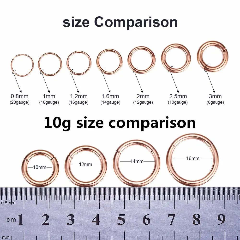 ORANGELOVE Hypoallergenic Nose Rings 20G 18G 16G 14G 12G 10G 8G 316l Surgical Steel Septum Jewelry Hinged Segment Ring Body Piercing Nose Hoop Lip Rings Nose Helix Cartilage Rook Earrings