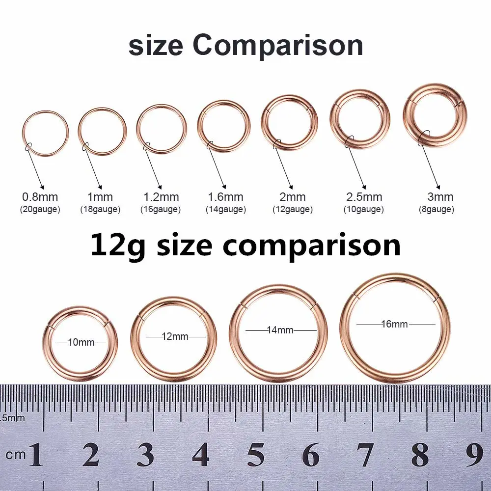 ORANGELOVE Hypoallergenic Nose Rings 20G 18G 16G 14G 12G 10G 8G 316l Surgical Steel Septum Jewelry Hinged Segment Ring Body Piercing Nose Hoop Lip Rings Nose Helix Cartilage Rook Earrings