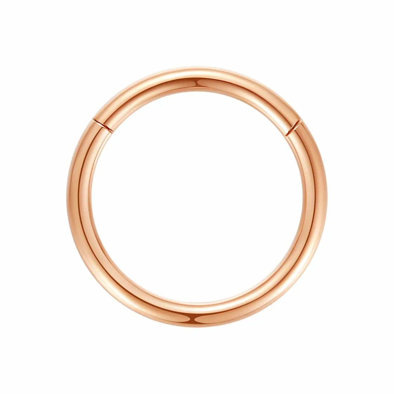 ORANGELOVE Hypoallergenic Nose Rings 20G 18G 16G 14G 12G 10G 8G 316l Surgical Steel Septum Jewelry Hinged Segment Ring Body Piercing Nose Hoop Lip Rings Nose Helix Cartilage Rook Earrings