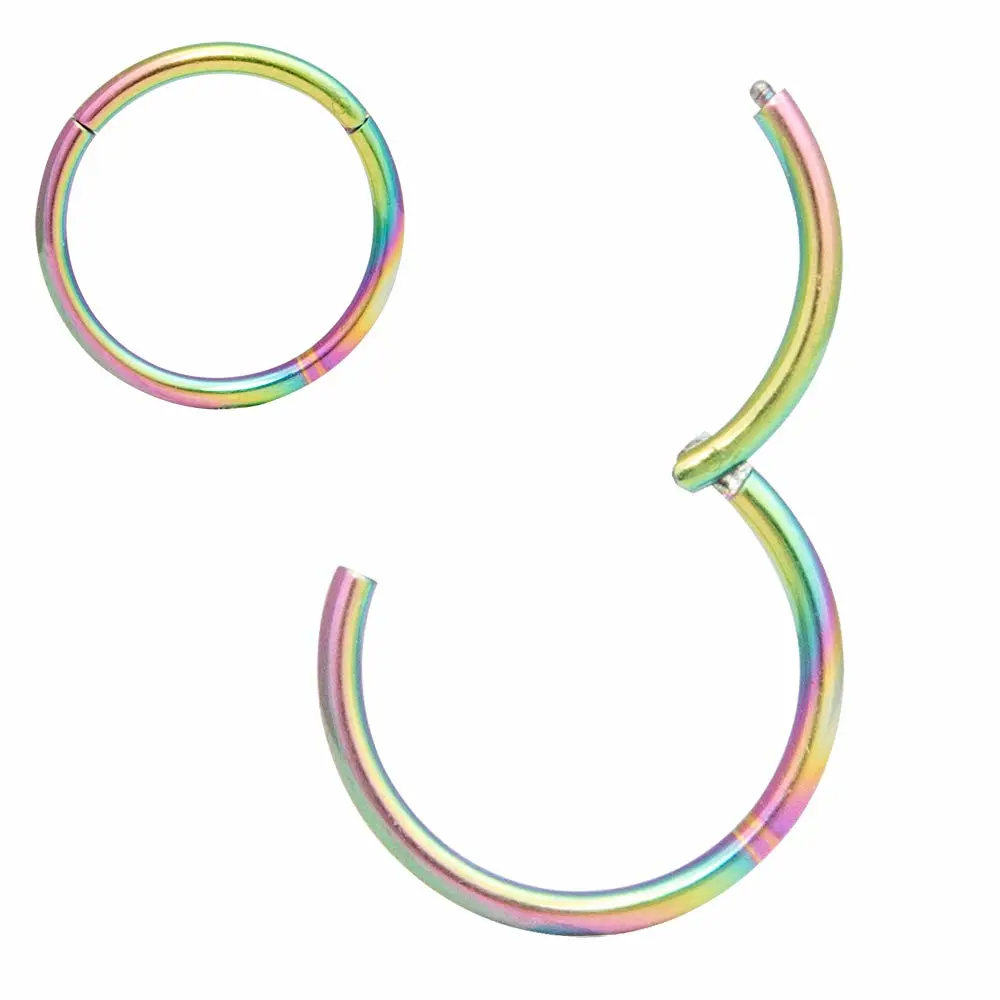 ORANGELOVE Hypoallergenic Nose Rings 20G 18G 16G 14G 12G 10G 8G 316l Surgical Steel Septum Jewelry Hinged Segment Ring Body Piercing Nose Hoop Lip Rings Nose Helix Cartilage Rook Earrings