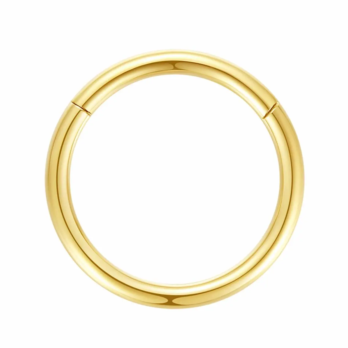 ORANGELOVE Hypoallergenic Nose Rings 20G 18G 16G 14G 12G 10G 8G 316l Surgical Steel Septum Jewelry Hinged Segment Ring Body Piercing Nose Hoop Lip Rings Nose Helix Cartilage Rook Earrings