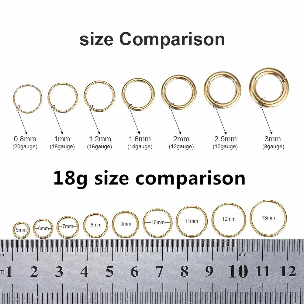 ORANGELOVE Hypoallergenic Nose Rings 20G 18G 16G 14G 12G 10G 8G 316l Surgical Steel Septum Jewelry Hinged Segment Ring Body Piercing Nose Hoop Lip Rings Nose Helix Cartilage Rook Earrings