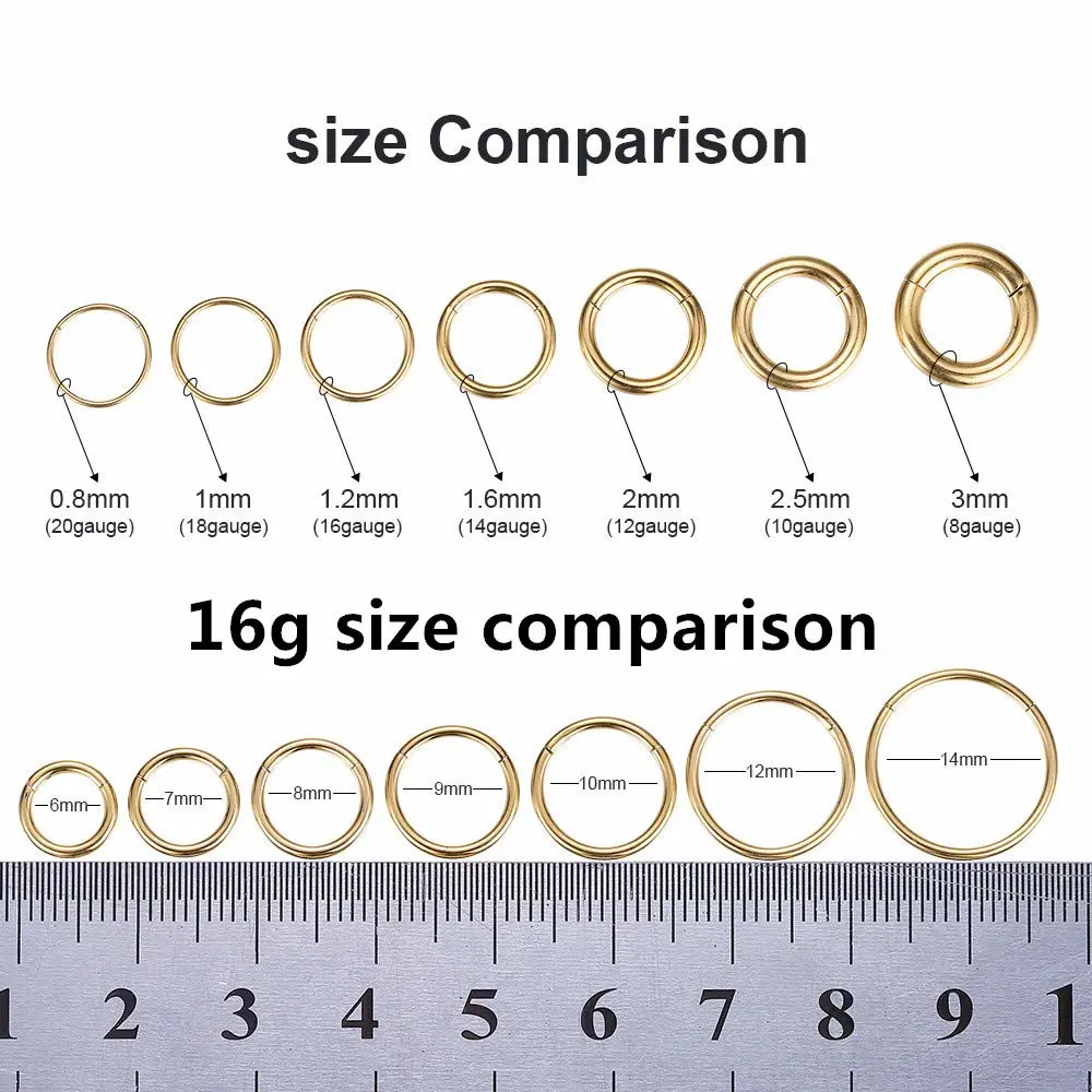 ORANGELOVE Hypoallergenic Nose Rings 20G 18G 16G 14G 12G 10G 8G 316l Surgical Steel Septum Jewelry Hinged Segment Ring Body Piercing Nose Hoop Lip Rings Nose Helix Cartilage Rook Earrings