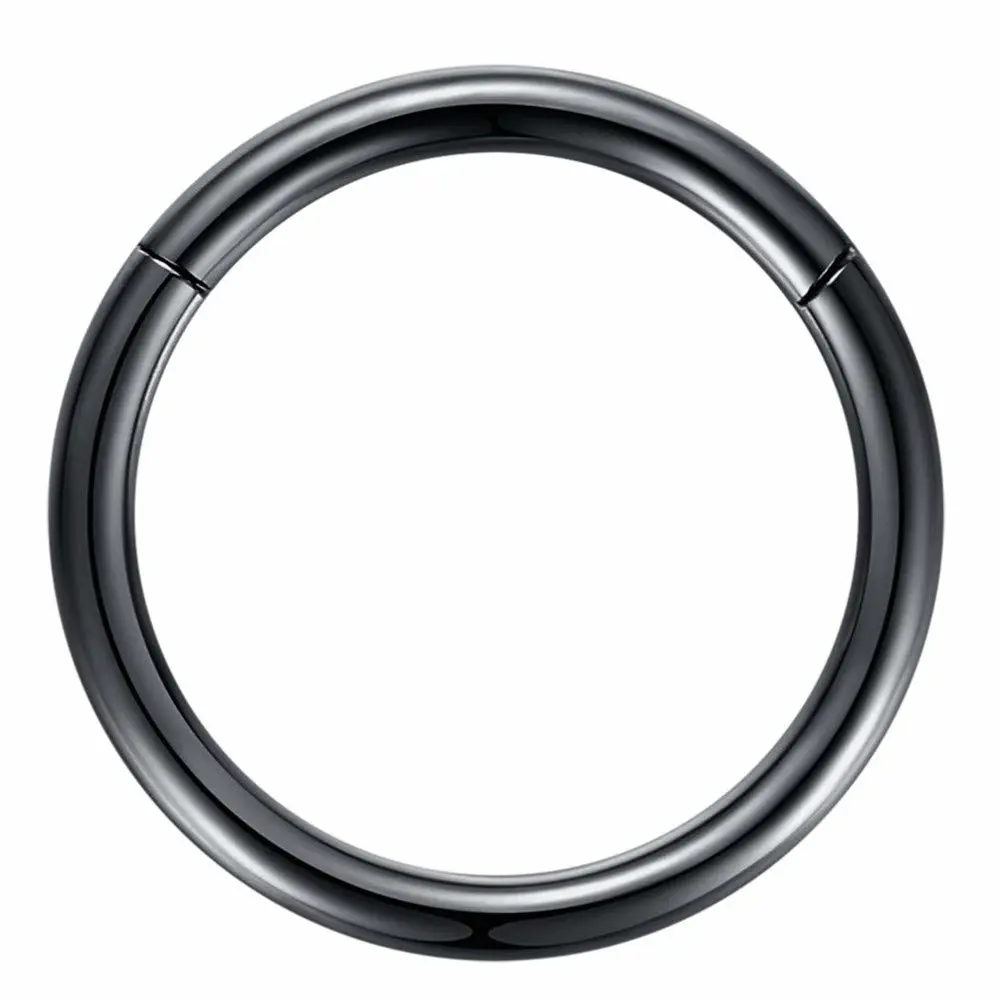 ORANGELOVE Hypoallergenic Nose Rings 20G 18G 16G 14G 12G 10G 8G 316l Surgical Steel Septum Jewelry Hinged Segment Ring Body Piercing Nose Hoop Lip Rings Nose Helix Cartilage Rook Earrings