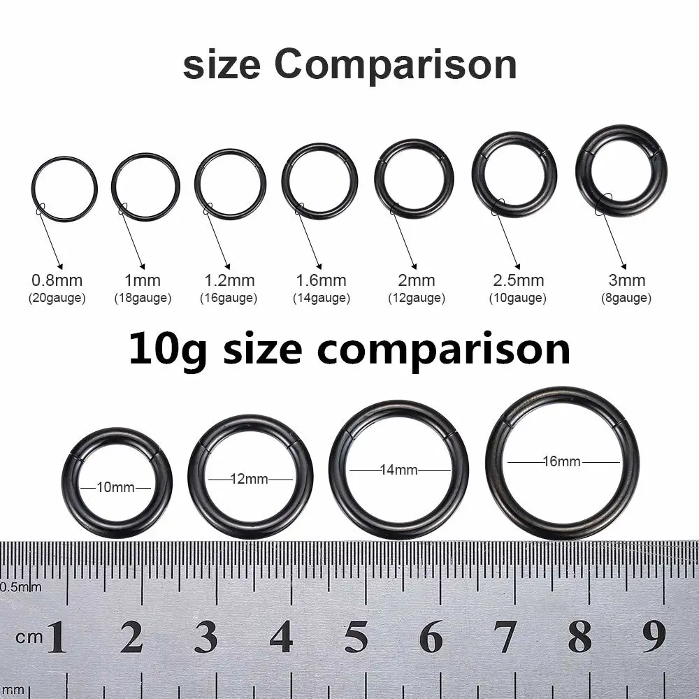 ORANGELOVE Hypoallergenic Nose Rings 20G 18G 16G 14G 12G 10G 8G 316l Surgical Steel Septum Jewelry Hinged Segment Ring Body Piercing Nose Hoop Lip Rings Nose Helix Cartilage Rook Earrings