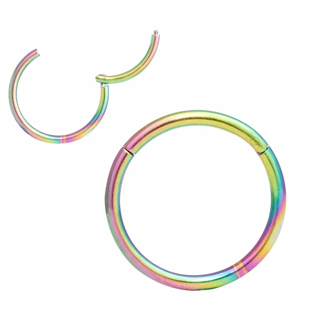 ORANGELOVE Hypoallergenic Nose Rings 20G 18G 16G 14G 12G 10G 8G 316l Surgical Steel Septum Jewelry Hinged Segment Ring Body Piercing Nose Hoop Lip Rings Nose Helix Cartilage Rook Earrings