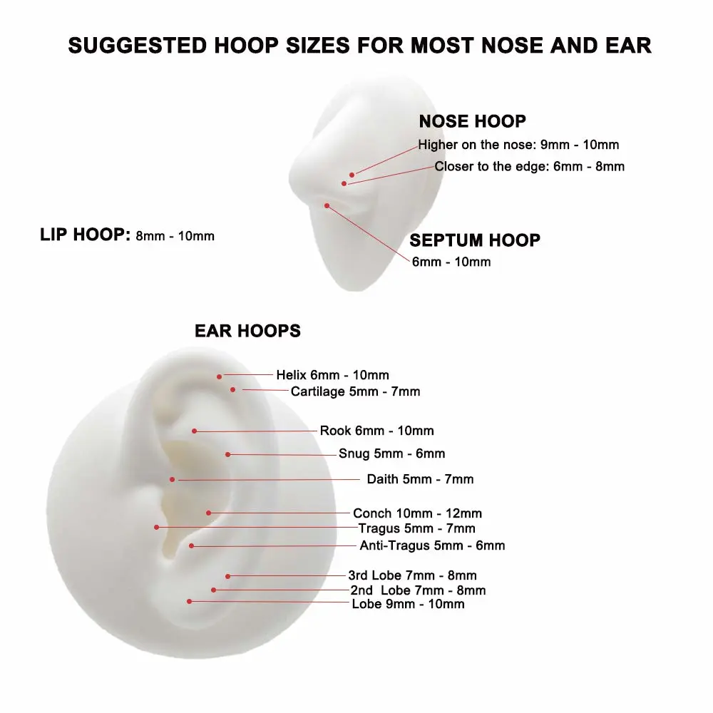 FANSING Men Women 316L Surgical Steel Hinged Nose Rings Hoop for Nostril Septum Cartilage Helix Daith Tragus Rook Conch Lip Ear Lobe Piercings