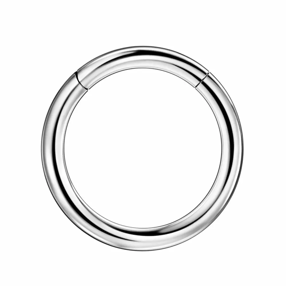 FANSING Men Women 316L Surgical Steel Hinged Nose Rings Hoop for Nostril Septum Cartilage Helix Daith Tragus Rook Conch Lip Ear Lobe Piercings