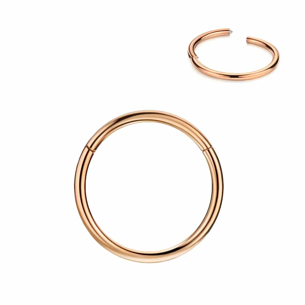 FANSING Men Women 316L Surgical Steel Hinged Nose Rings Hoop for Nostril Septum Cartilage Helix Daith Tragus Rook Conch Lip Ear Lobe Piercings