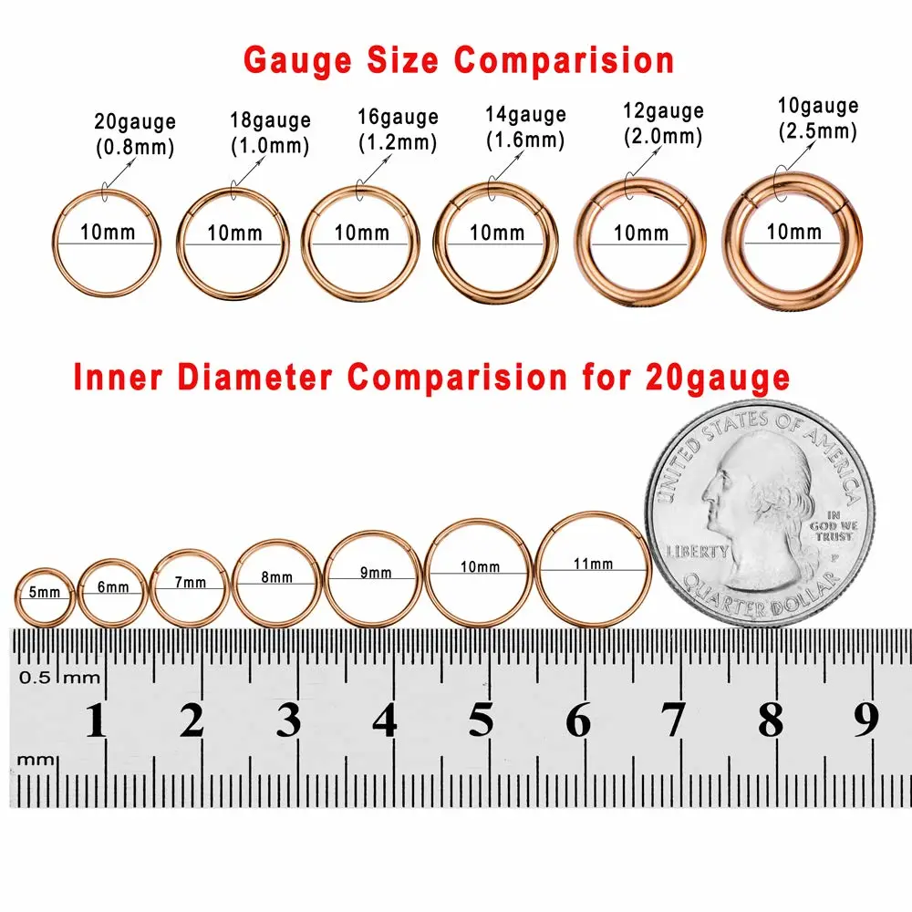 FANSING Men Women 316L Surgical Steel Hinged Nose Rings Hoop for Nostril Septum Cartilage Helix Daith Tragus Rook Conch Lip Ear Lobe Piercings