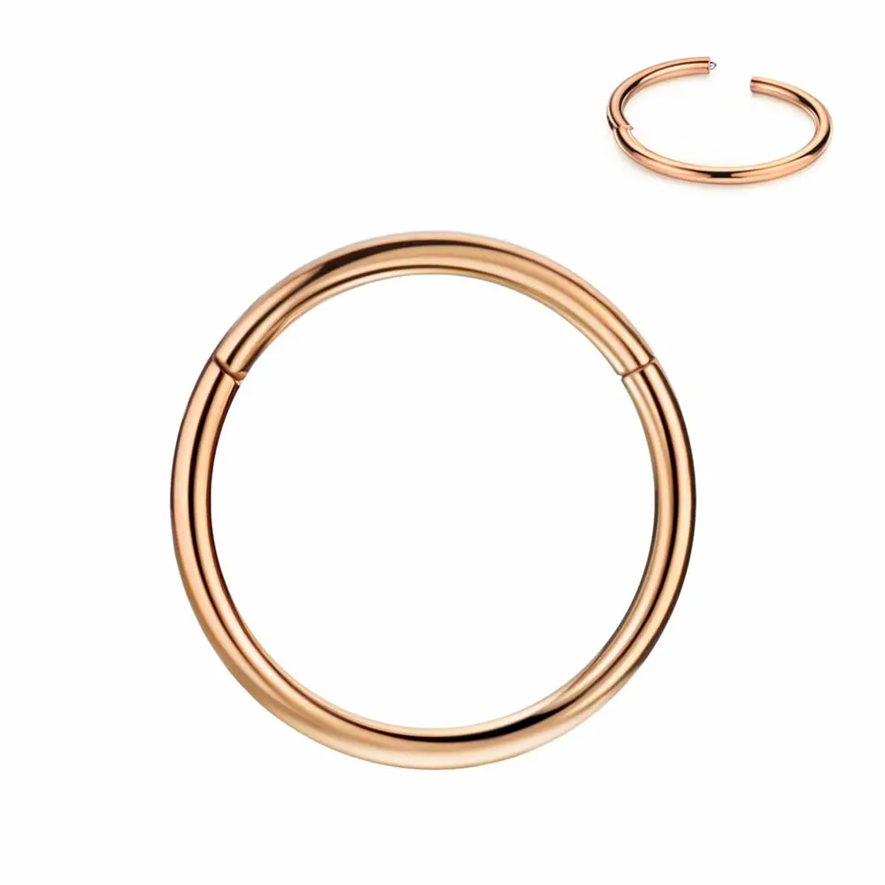 FANSING Men Women 316L Surgical Steel Hinged Nose Rings Hoop for Nostril Septum Cartilage Helix Daith Tragus Rook Conch Lip Ear Lobe Piercings