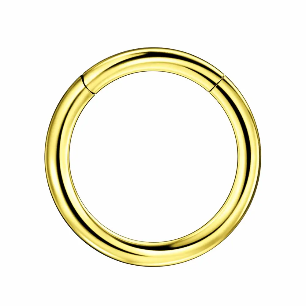 FANSING Men Women 316L Surgical Steel Hinged Nose Rings Hoop for Nostril Septum Cartilage Helix Daith Tragus Rook Conch Lip Ear Lobe Piercings