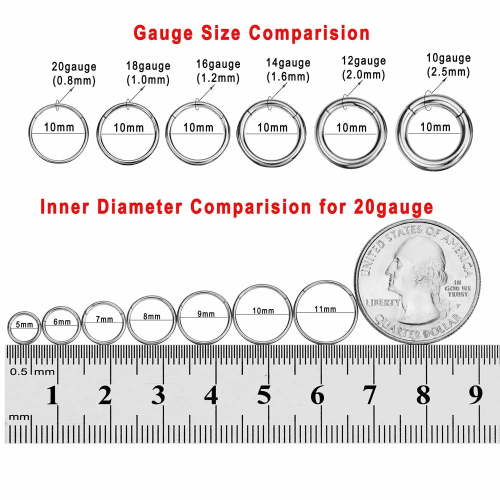 FANSING Men Women 316L Surgical Steel Hinged Nose Rings Hoop for Nostril Septum Cartilage Helix Daith Tragus Rook Conch Lip Ear Lobe Piercings