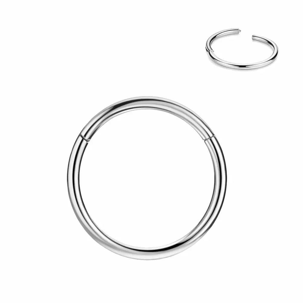 FANSING Men Women 316L Surgical Steel Hinged Nose Rings Hoop for Nostril Septum Cartilage Helix Daith Tragus Rook Conch Lip Ear Lobe Piercings