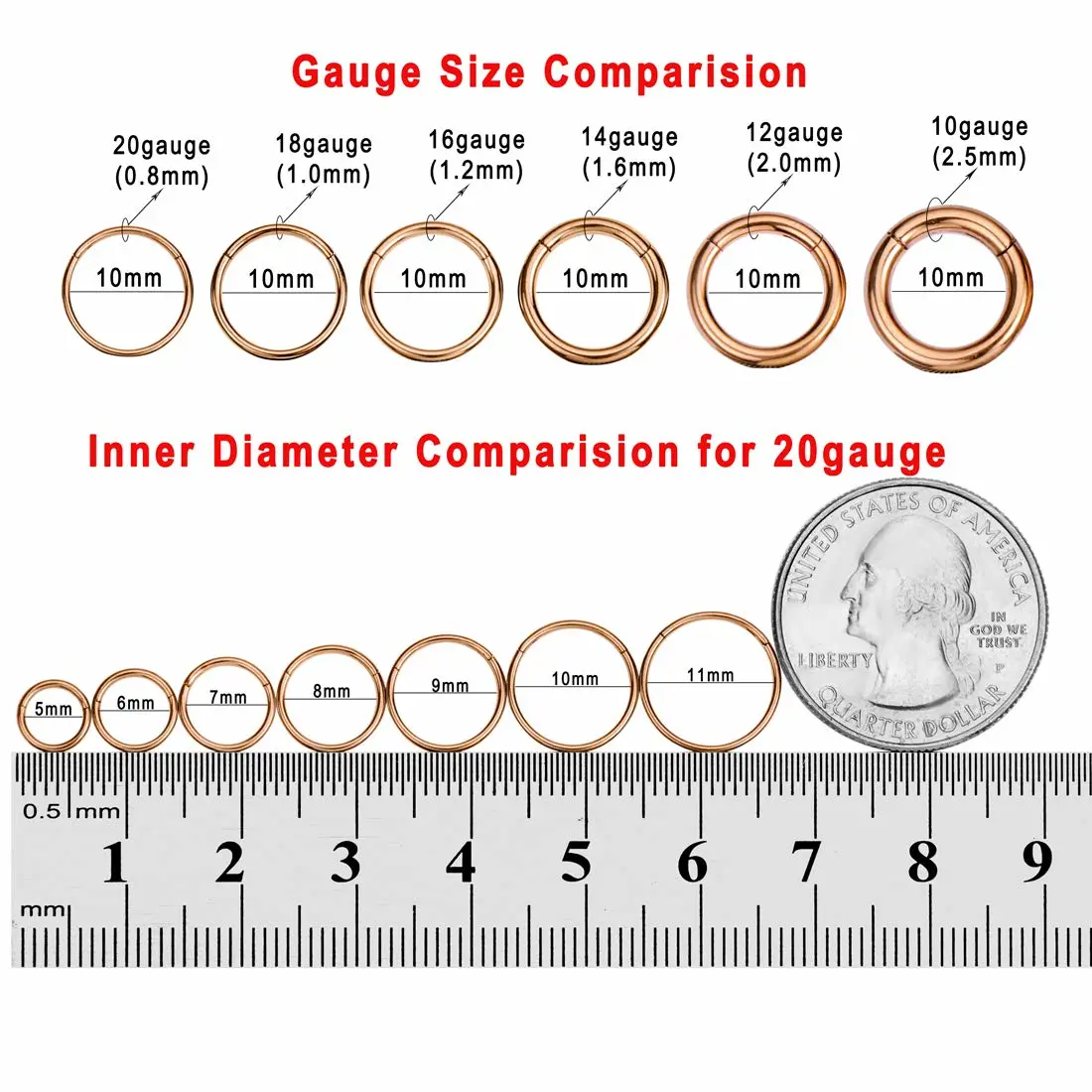 FANSING Men Women 316L Surgical Steel Hinged Nose Rings Hoop for Nostril Septum Cartilage Helix Daith Tragus Rook Conch Lip Ear Lobe Piercings
