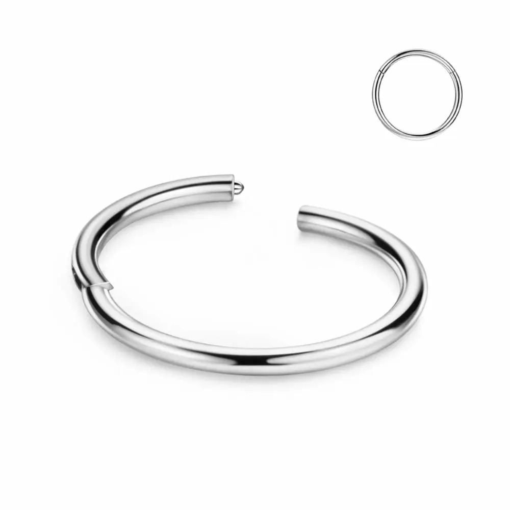 FANSING Men Women 316L Surgical Steel Hinged Nose Rings Hoop for Nostril Septum Cartilage Helix Daith Tragus Rook Conch Lip Ear Lobe Piercings
