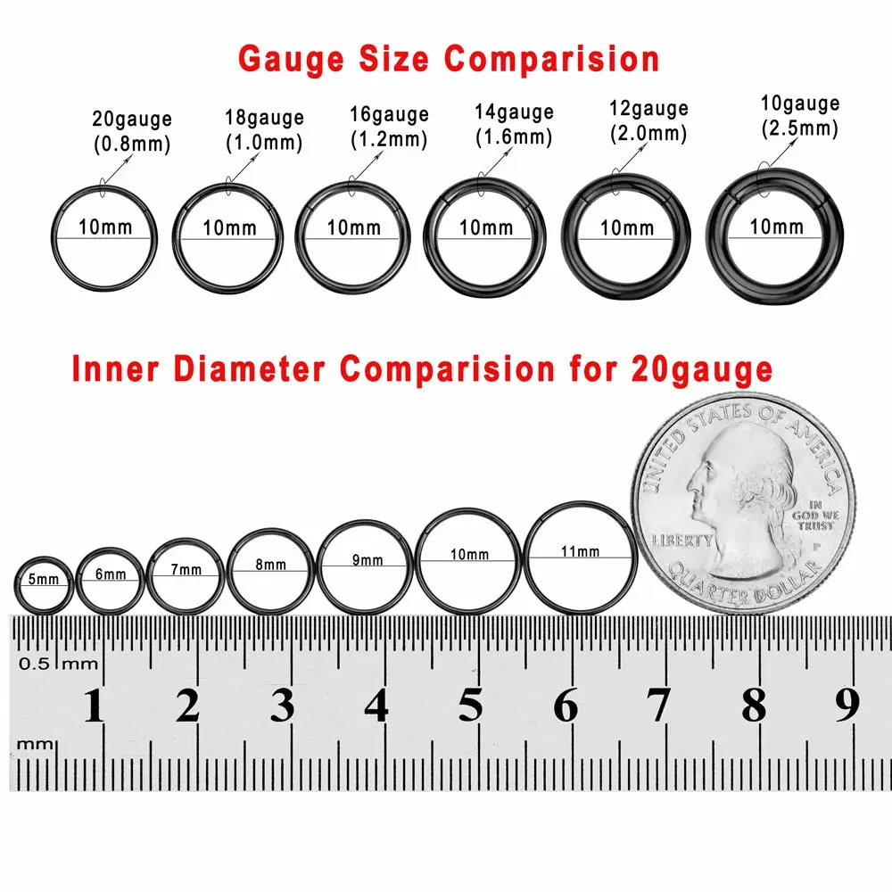 FANSING Men Women 316L Surgical Steel Hinged Nose Rings Hoop for Nostril Septum Cartilage Helix Daith Tragus Rook Conch Lip Ear Lobe Piercings